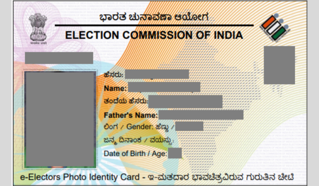 Voter ID (Election ID) Services (1)